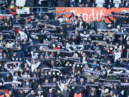 Rosenborg fans have plenty to shout about this season